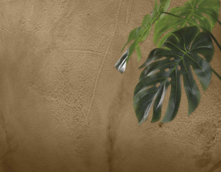 01-bronzo-plamina-jungle-