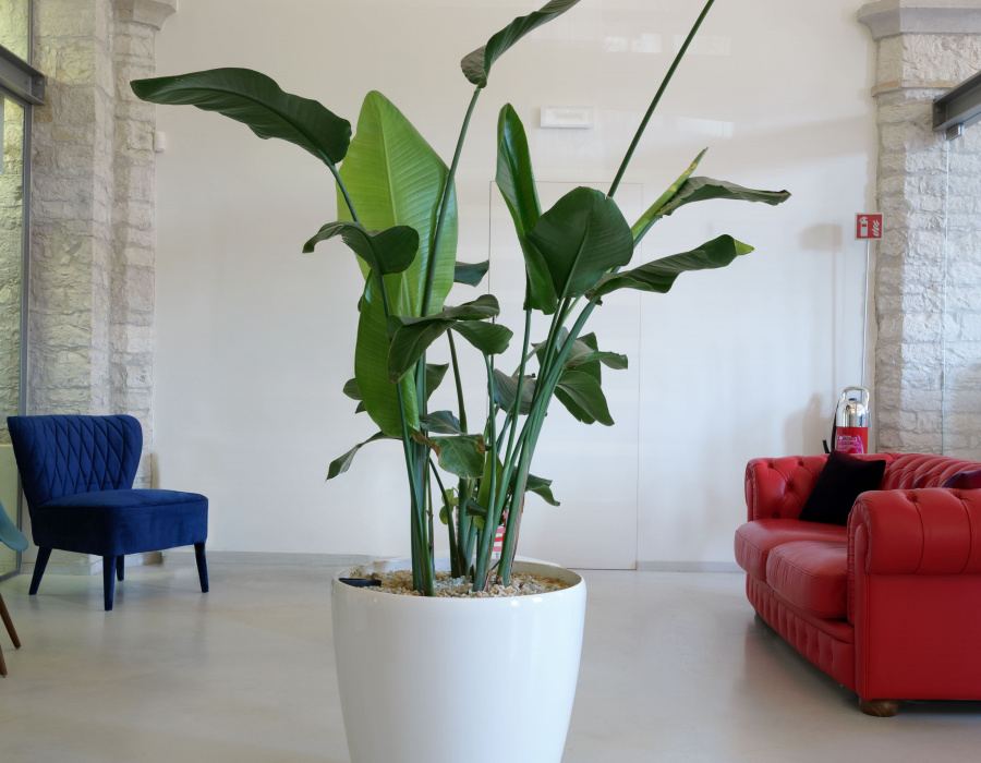 Deco Nuvolato Isoplam Uffici Ex Filanda Valdobbiadene TV08-min