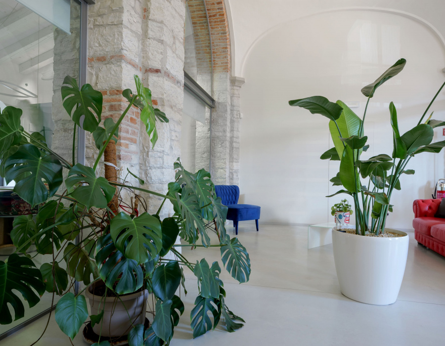 Deco Nuvolato Isoplam Uffici Ex Filanda Valdobbiadene TV09-min