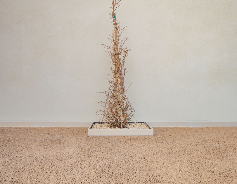 Plam Cem Drain cemento drenante colore yellow Colli Vicentini 15