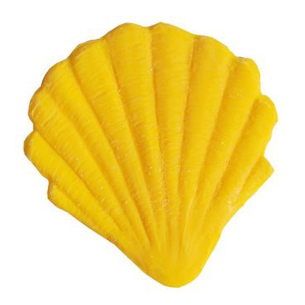 Conchiglia