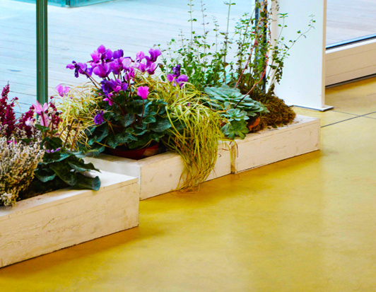 Béton ciré pour le jardin botanique de Padoue