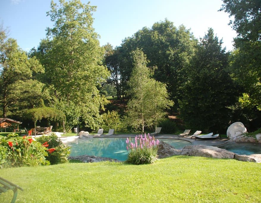 rocce artificiali giardino bordo piscina milano
