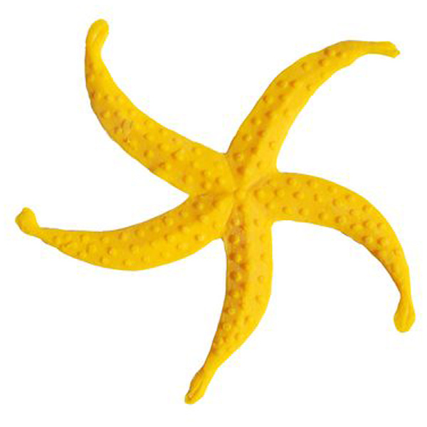 Stella Marina