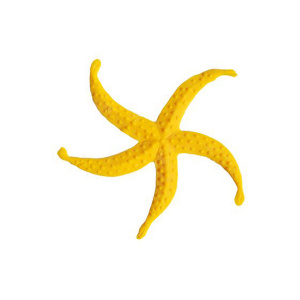 Estrella de mar