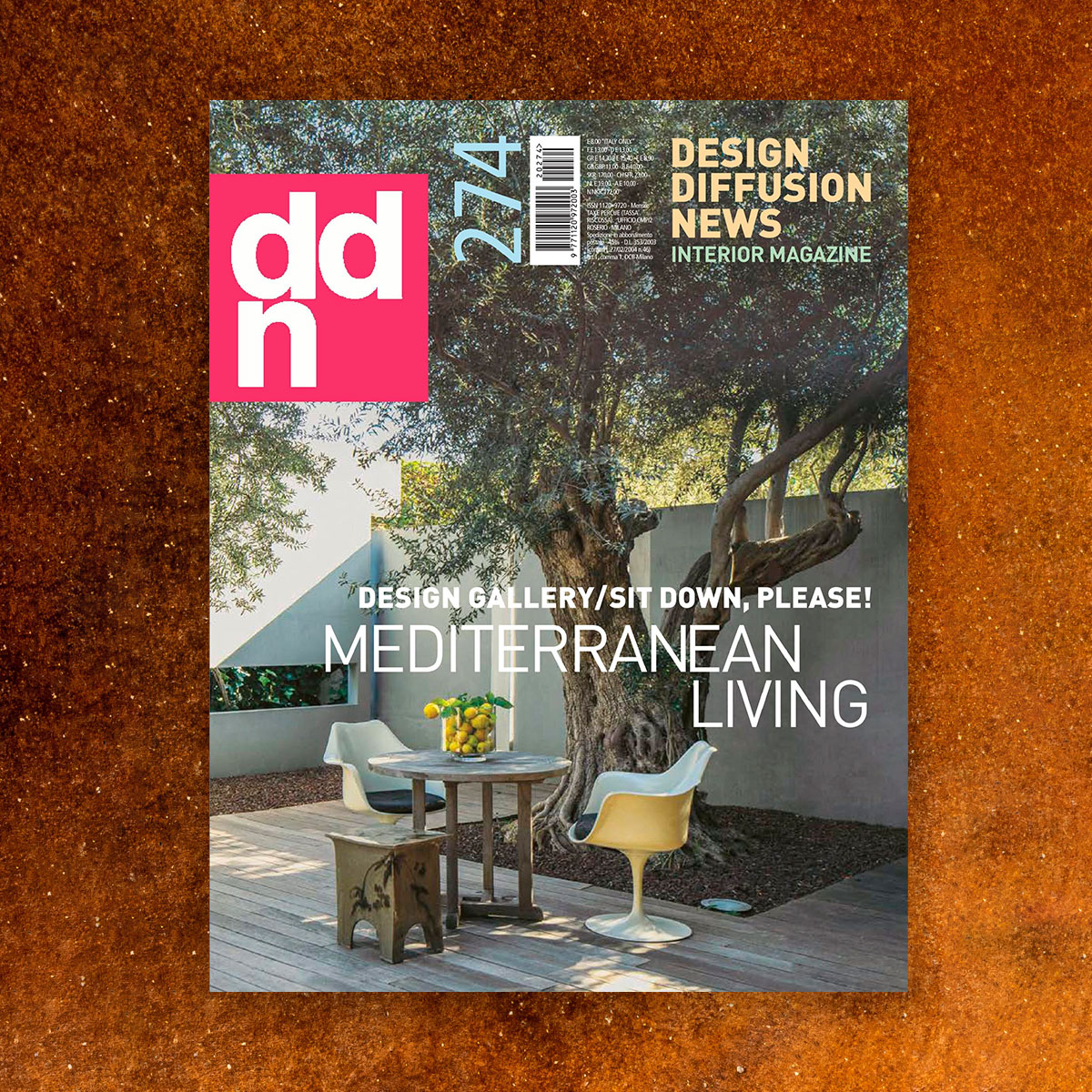 rivista DDN