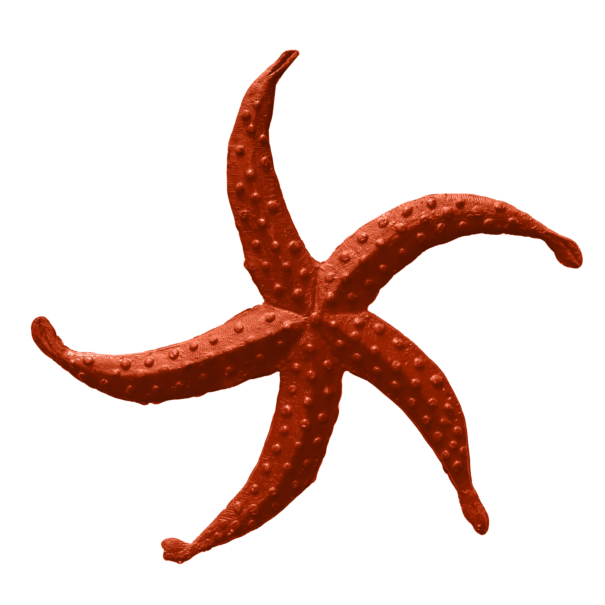 Stampo Silicone Stella Marina - Per Torte, Cioccolato, Saponi | Tema Marino 8x8cm - Foto 7