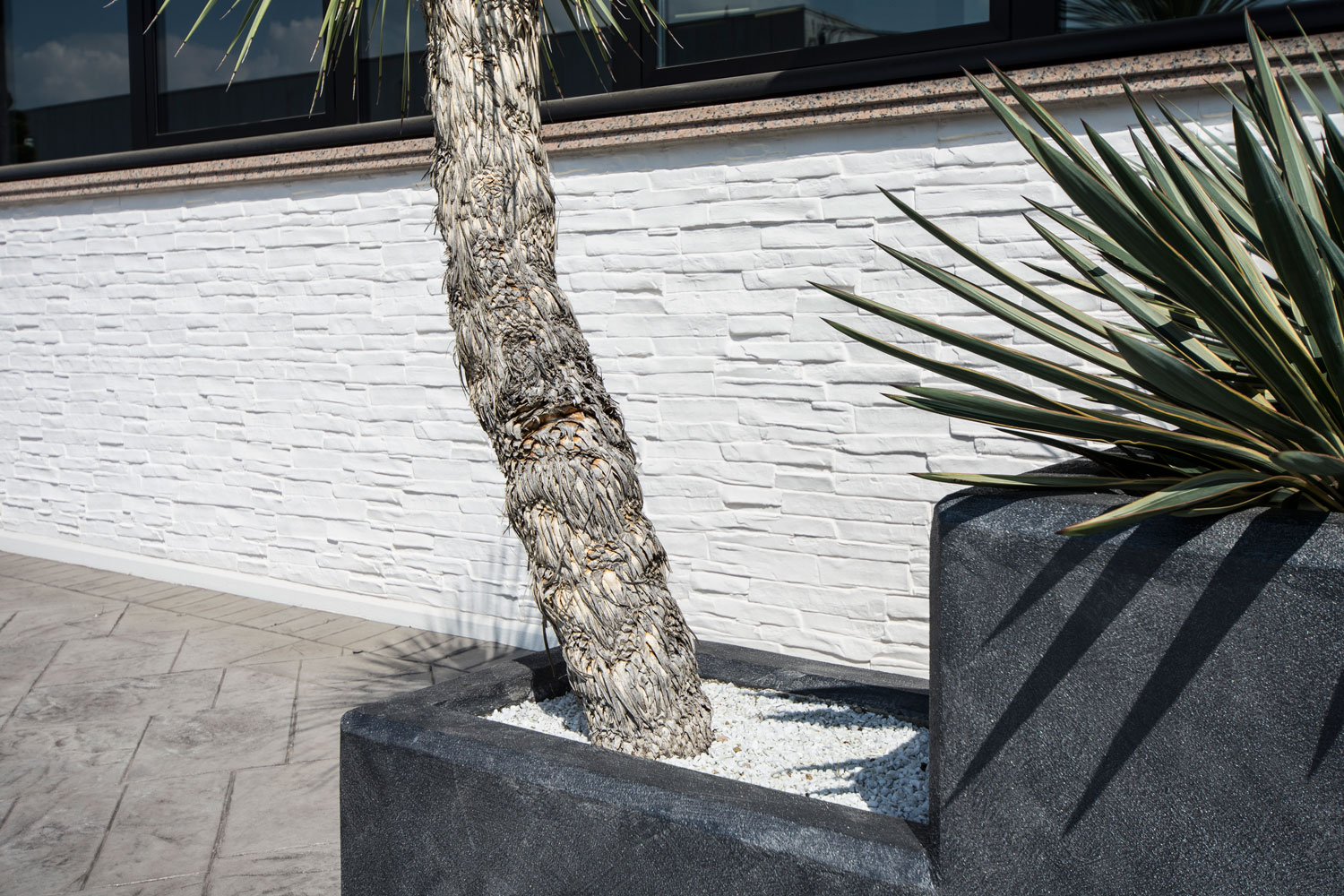 Rivestimento muro in intonaco stampato Isoplam – parete aziendale decorativa