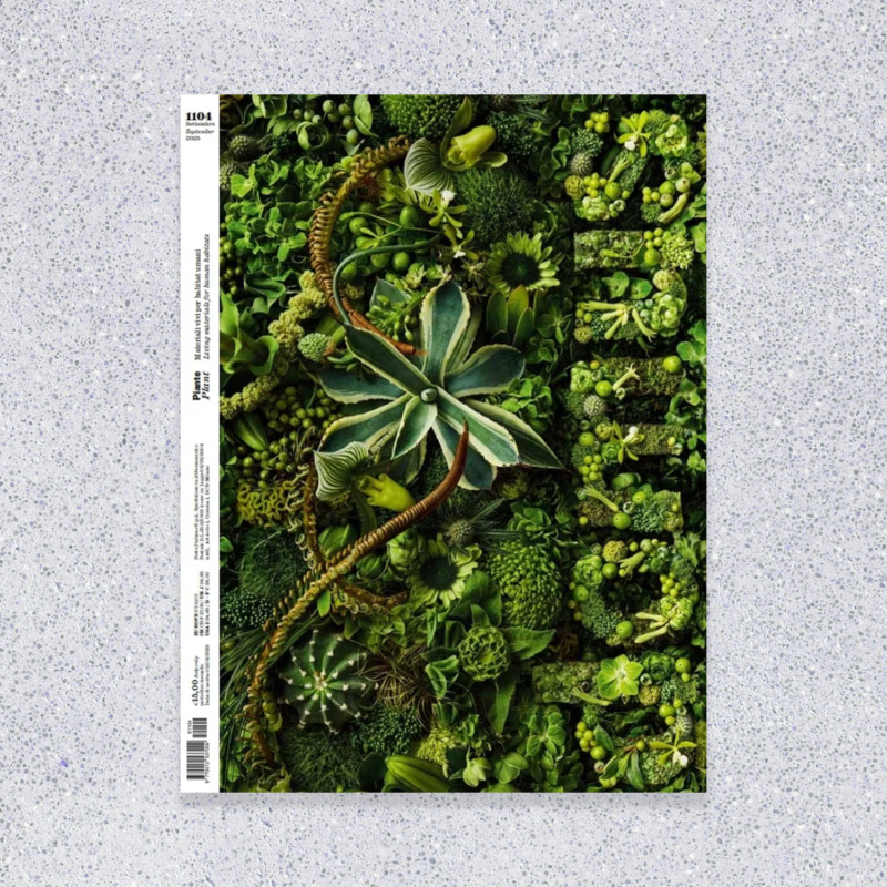 Rivista Domus settembre 2025