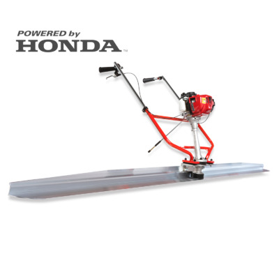 Libellula - Staggia vibrante