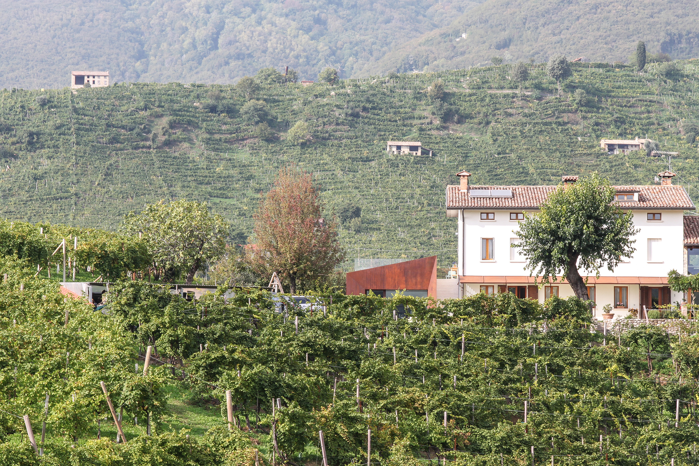 Vista delle colline vitivinicole del Prosecco a Valdobbiadene con vigneti e architettura rurale