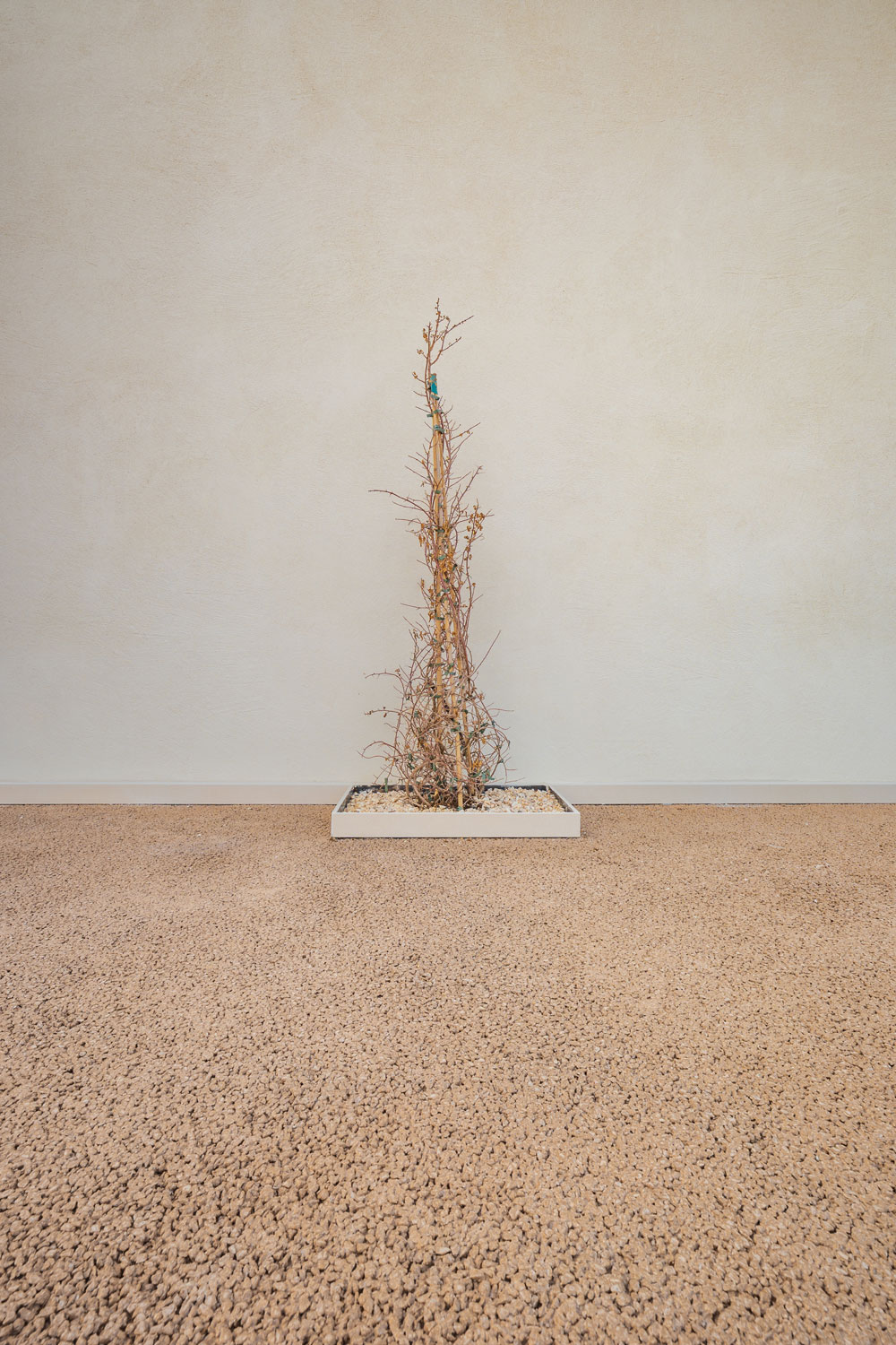 Dettaglio decorativo su pavimento in cemento, Drenante colorato