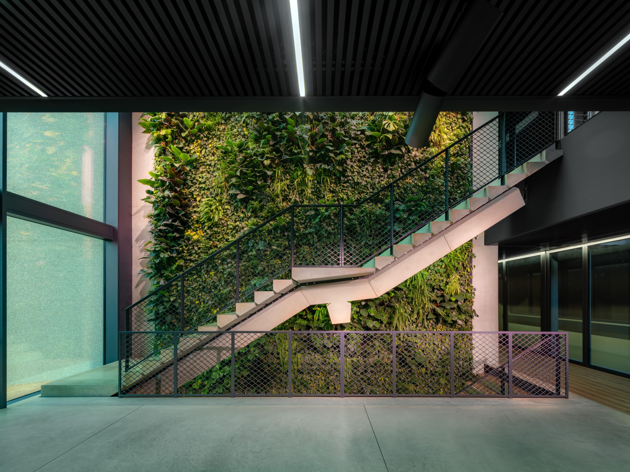 Pavimento continuo Deco Nuvolato Isoplam Light Gray in sede aziendale Scarpa con parete verde